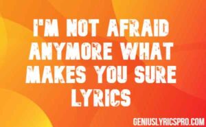 I'm Not Afraid Anymore What Makes You Sure Lyrics