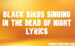 Black Birds Singing in The Dead of Night Lyrics