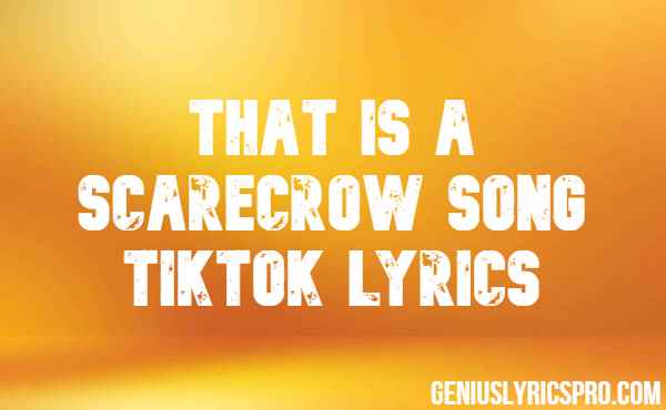 That Is A Scarecrow Song Tiktok Lyrics