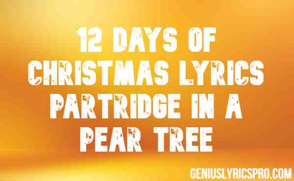 12 Days Of Christmas Lyrics Partridge In A Pear Tree